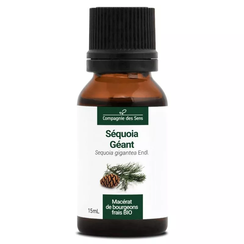 SÉQUOIA GÉANT - Macérat de bourgeons BIO