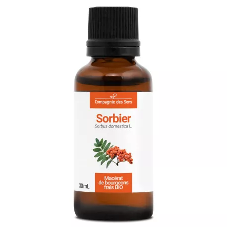 SORBIER - Macérat de bourgeons BIO