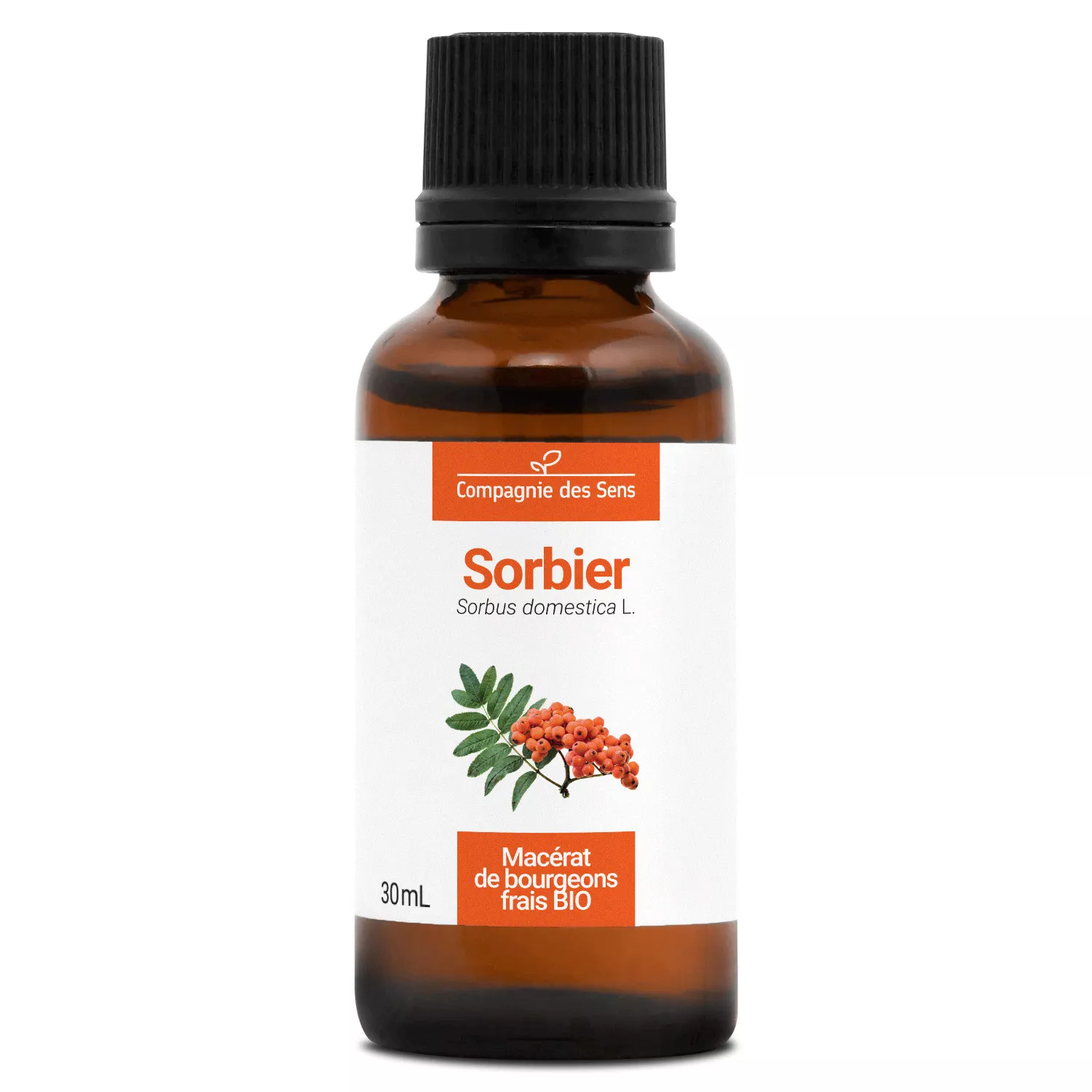 SORBIER - Macérat de bourgeons BIO
