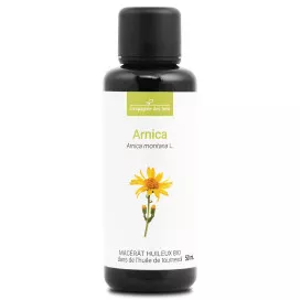 Arnica