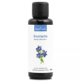 Bourrache