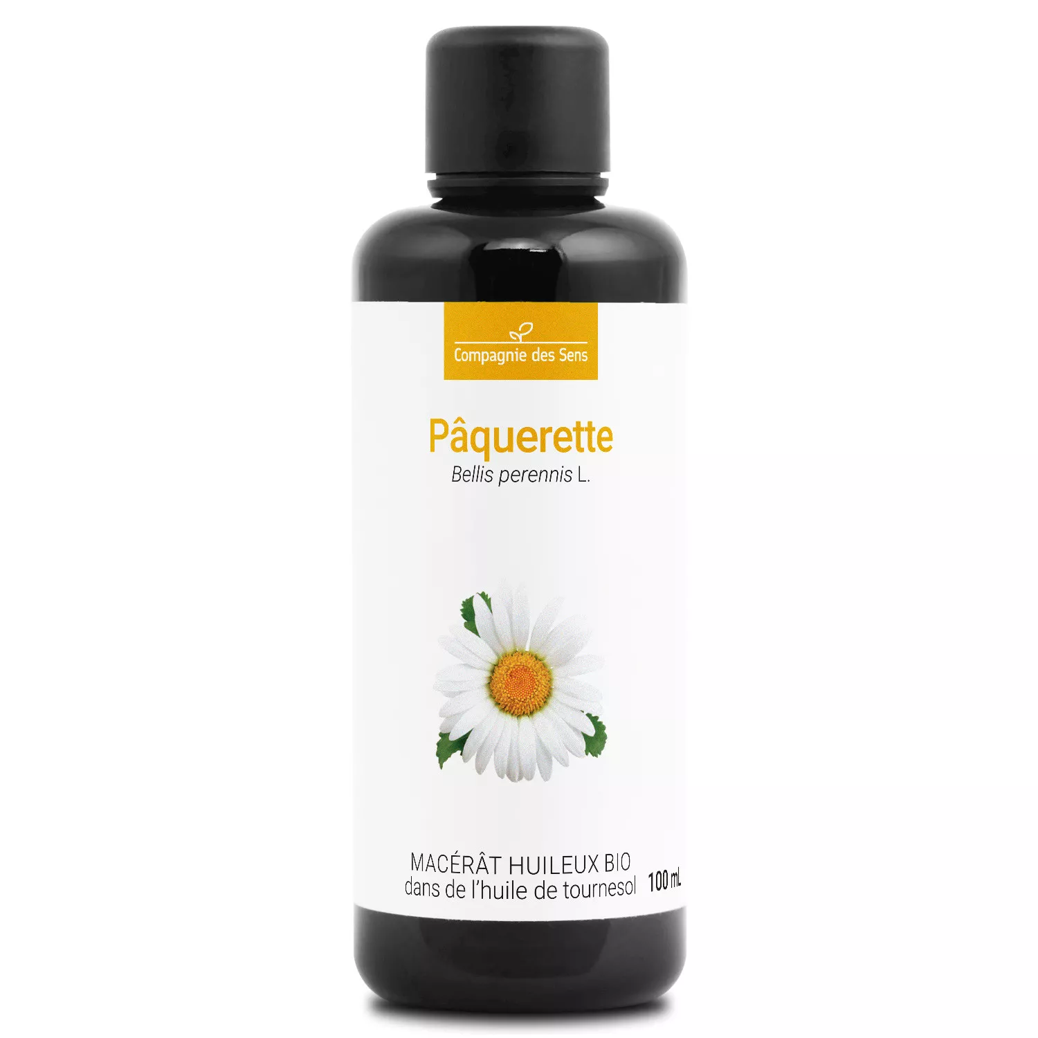 Pâquerette - Macérât Huileux BIO - Flacon en verre