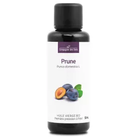 Prune de Gascogne