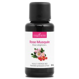 Rose musquée du chili 