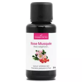 Rose Musquée du Chili