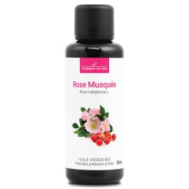 Rose musquée du chili 