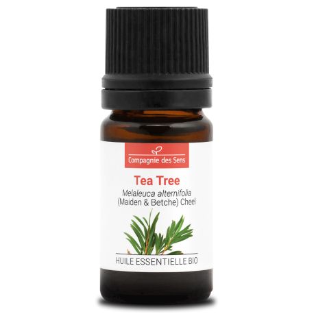 TEA TREE - Huile essentielle BIO