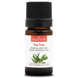 Tea tree 