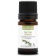 TEA TREE CITRONNÉ - Huile essentielle BIO