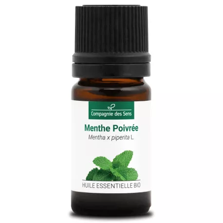 MENTHE POIVRÉE - Huile essentielle BIO