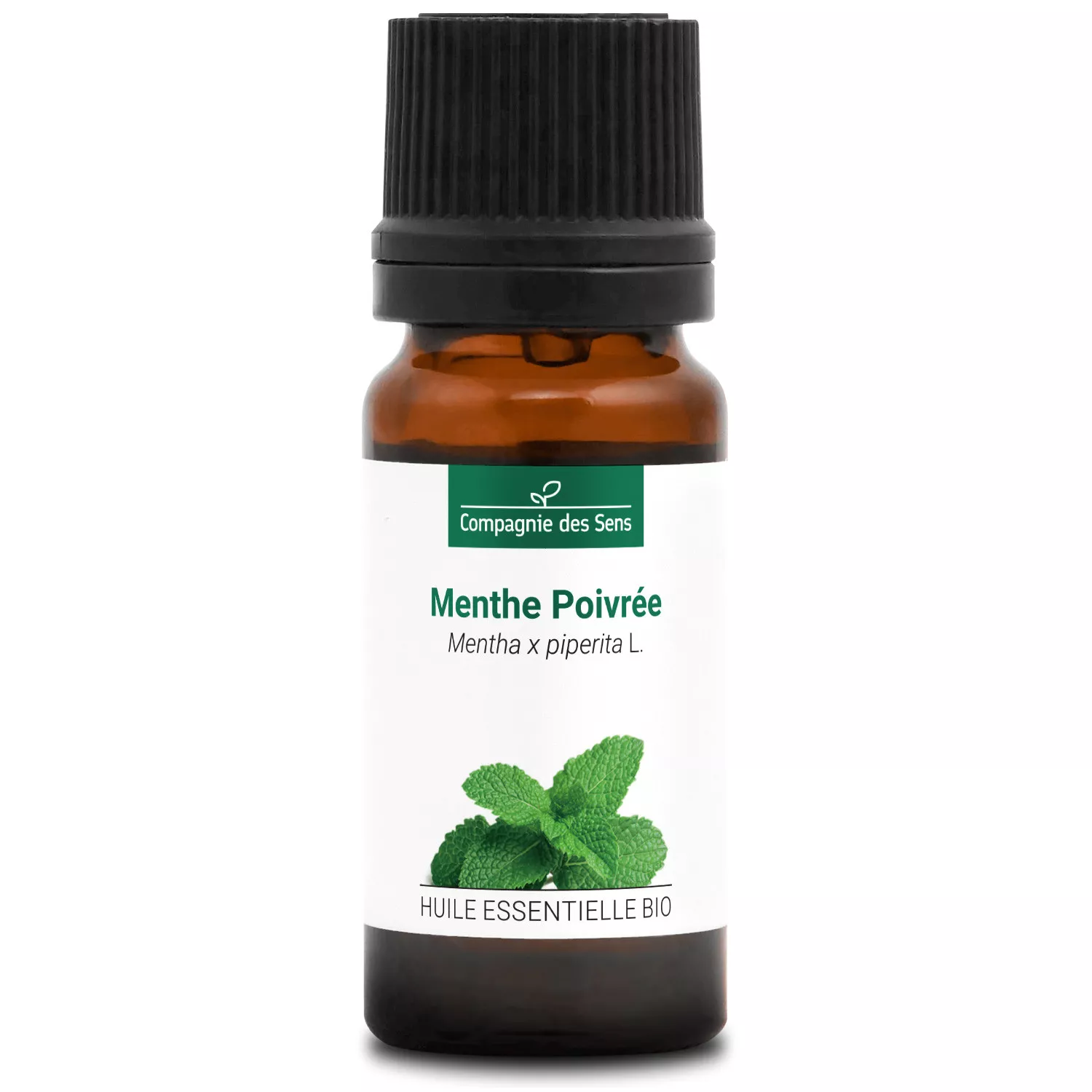 MENTHE POIVRÉE - Huile essentielle BIO
