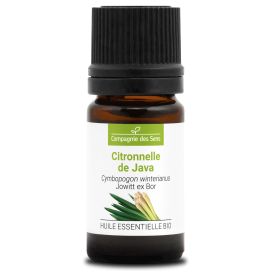 Citronnelle de java 