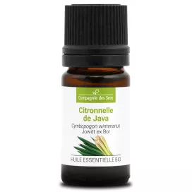 CITRONNELLE DE JAVA