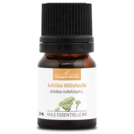 Achillée millefeuille 