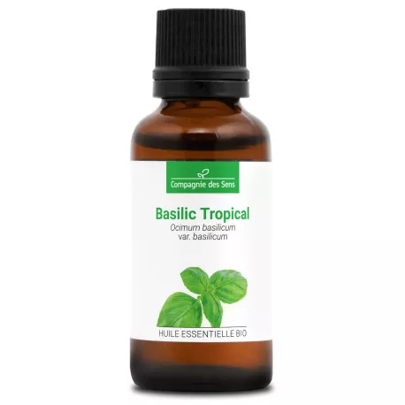 BASILIC TROPICAL - Huile essentielle BIO