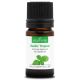 BASILIC TROPICAL - Huile essentielle BIO