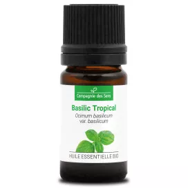 BASILIC TROPICAL