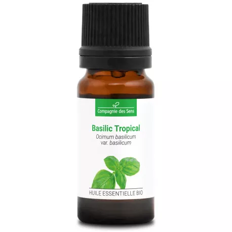 BASILIC TROPICAL - Huile essentielle BIO