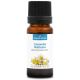 CAMOMILLE MATRICAIRE - Huile essentielle BIO