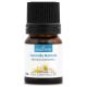 CAMOMILLE MATRICAIRE - Huile essentielle BIO