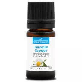 CAMOMILLE SAUVAGE