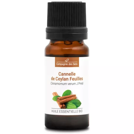 CANNELLE DE CEYLAN FEUILLES - Huile essentielle BIO