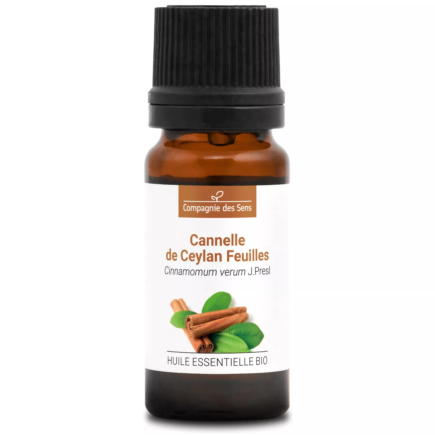 CANNELLE DE CEYLAN FEUILLES - Huile essentielle BIO