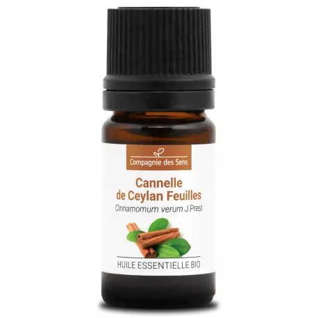 CANNELLE DE CEYLAN FEUILLES - Huile essentielle BIO