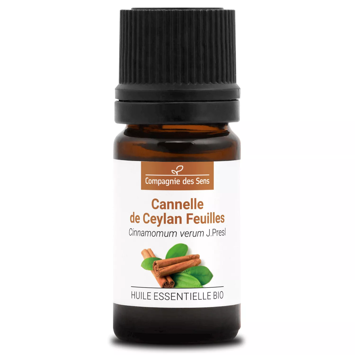 CANNELLE DE CEYLAN FEUILLES - Huile essentielle BIO