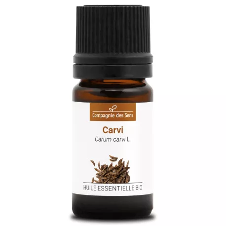 CARVI - Huile essentielle BIO