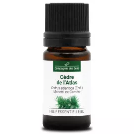 CÈDRE DE L'ATLAS