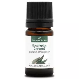 EUCALYPTUS CITRONNÉ