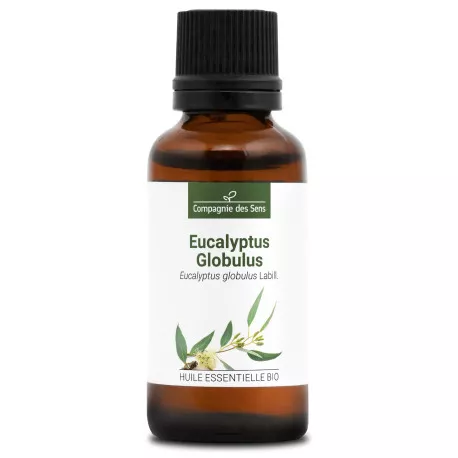 EUCALYPTUS GLOBULUS - Huile essentielle BIO