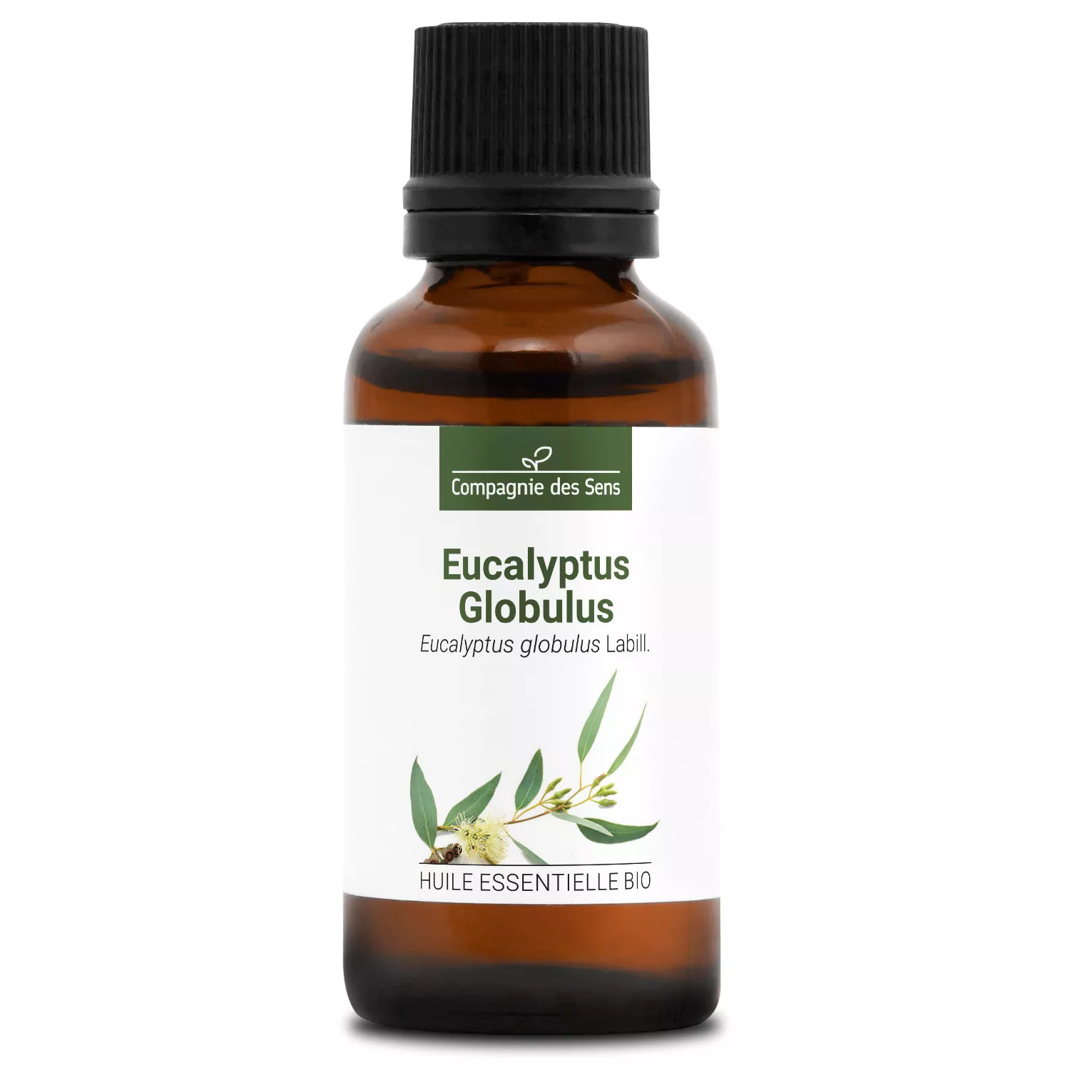 EUCALYPTUS GLOBULUS - Huile essentielle BIO