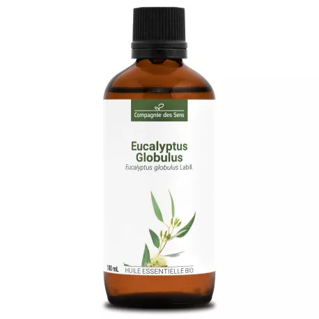 EUCALYPTUS GLOBULUS - Huile essentielle BIO