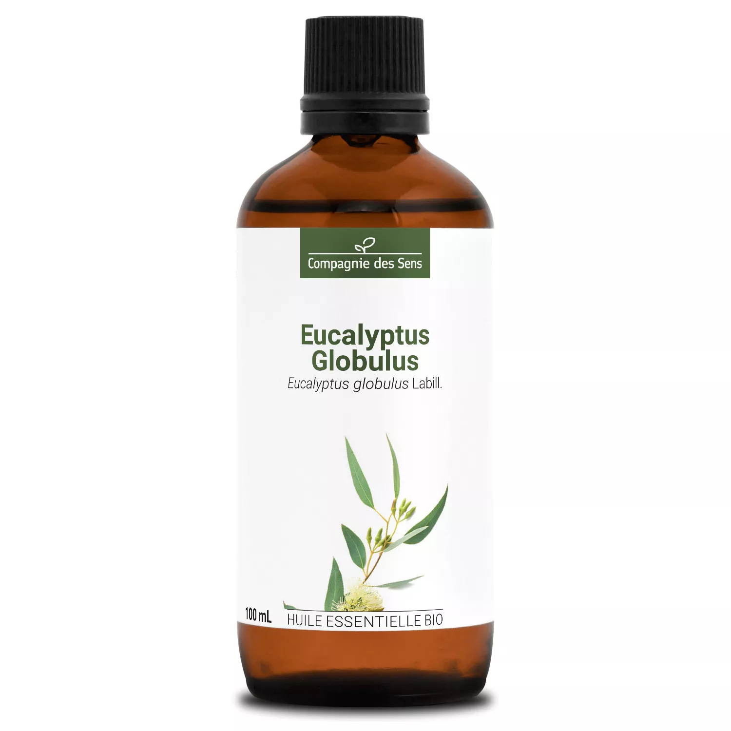 EUCALYPTUS GLOBULUS - Huile essentielle BIO