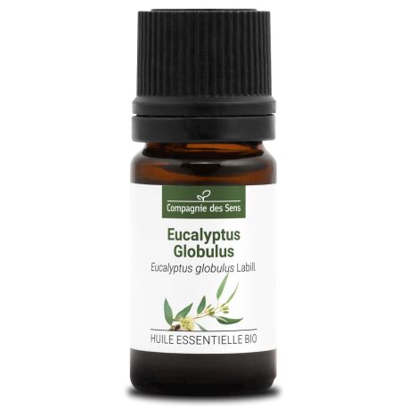 EUCALYPTUS GLOBULUS - Huile essentielle BIO