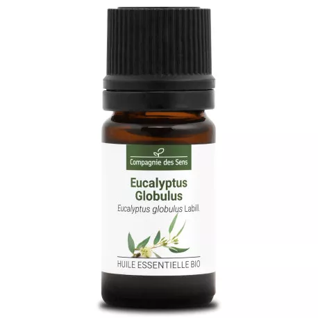 EUCALYPTUS GLOBULUS - Huile essentielle BIO