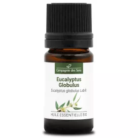 EUCALYPTUS GLOBULUS