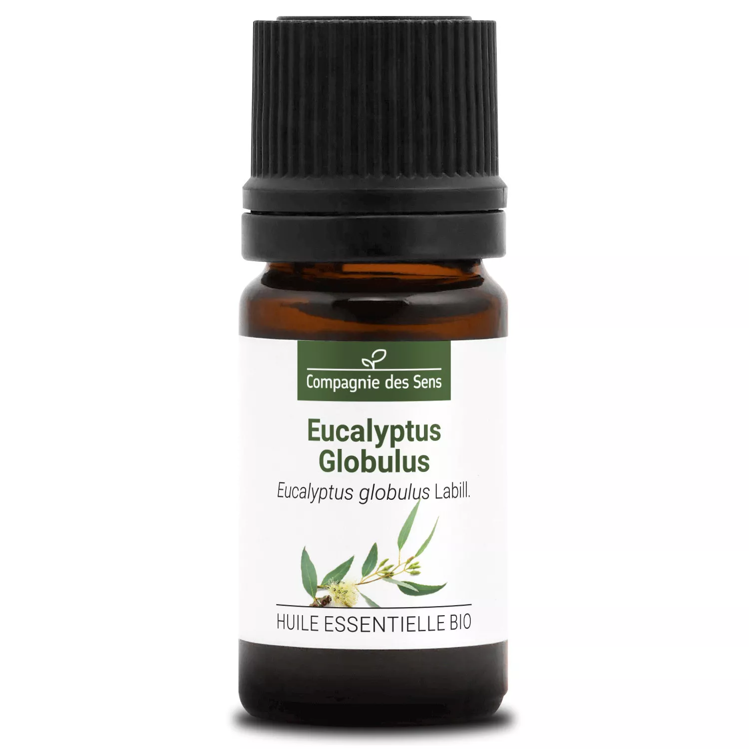 EUCALYPTUS GLOBULUS - Huile essentielle BIO