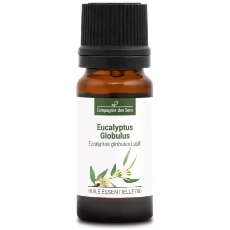 EUCALYPTUS GLOBULUS - Huile essentielle BIO
