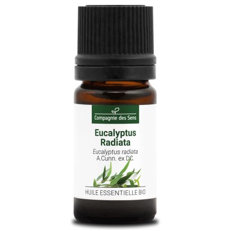 EUCALYPTUS RADIATA - Huile essentielle BIO