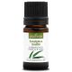 EUCALYPTUS SMITHII - Huile essentielle BIO