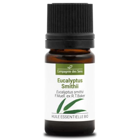 EUCALYPTUS SMITHII - Huile essentielle BIO