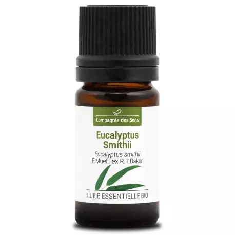 EUCALYPTUS SMITHII - Huile essentielle BIO