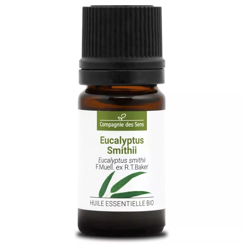 EUCALYPTUS SMITHII - Huile essentielle BIO