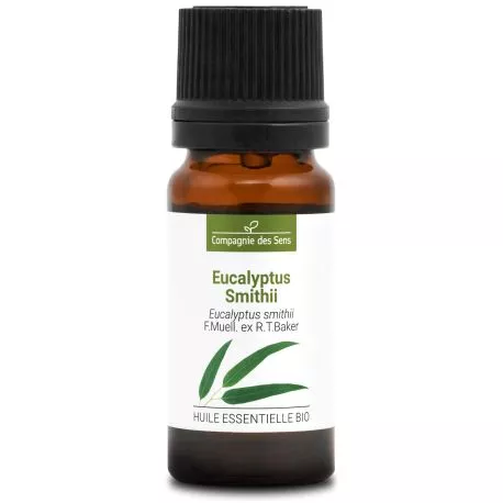 EUCALYPTUS SMITHII - Huile essentielle BIO