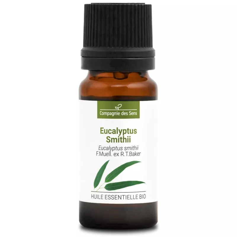 EUCALYPTUS SMITHII - Huile essentielle BIO