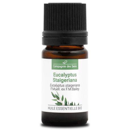 EUCALYPTUS STAIGERIANA - Huile essentielle BIO