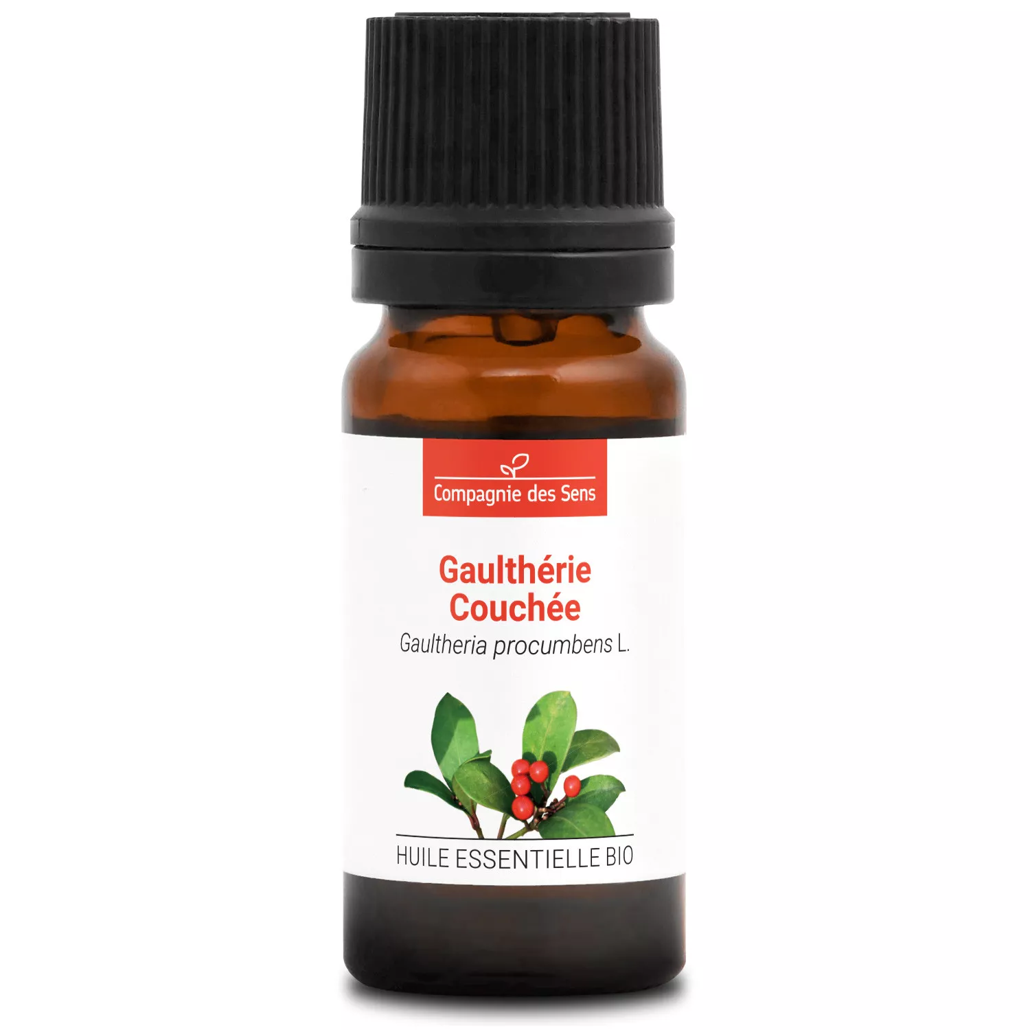 GAULTHÉRIE COUCHÉE - Huile essentielle BIO